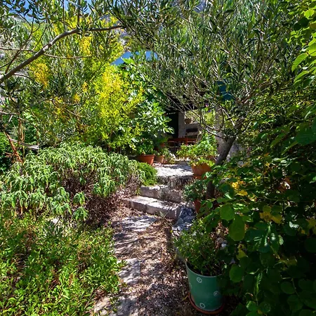 Matea Villa Makarska